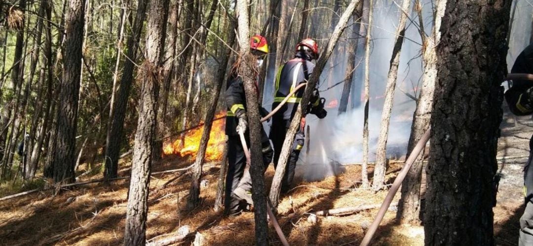 La principal causa de los incendios sigue siendo la intencionalidad