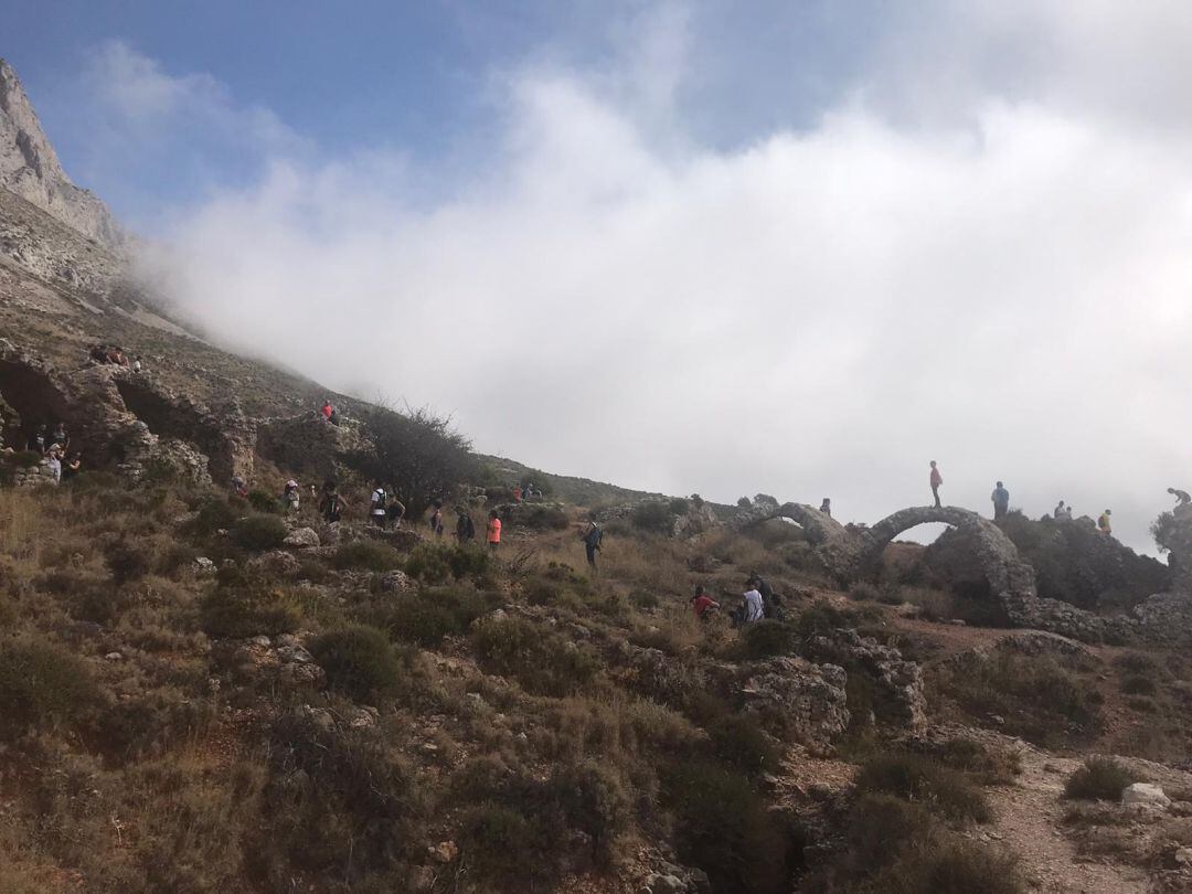 Masificaci&oacute;n en la Sierra de B&eacute;rnia. 