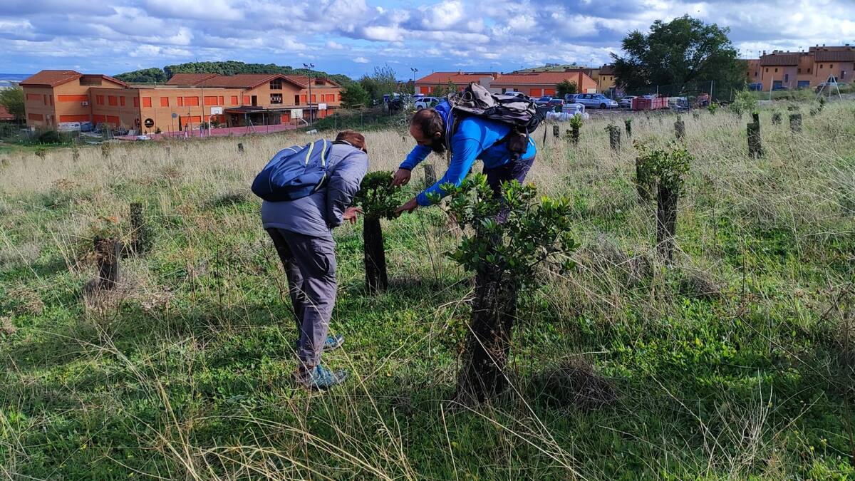 Entrevista a Isabel Barrendero, portavoz de ARBA, que se han organizado para defender la Dehesa del municipio