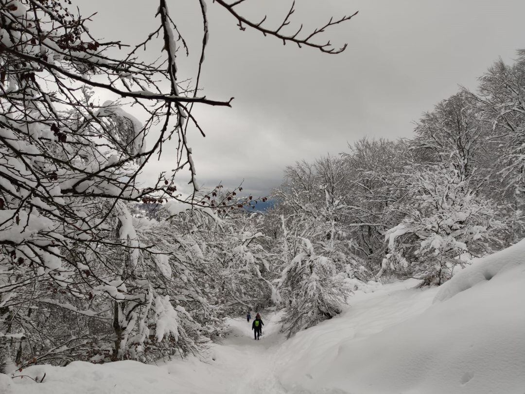 Nieve en el monte Gorbea.