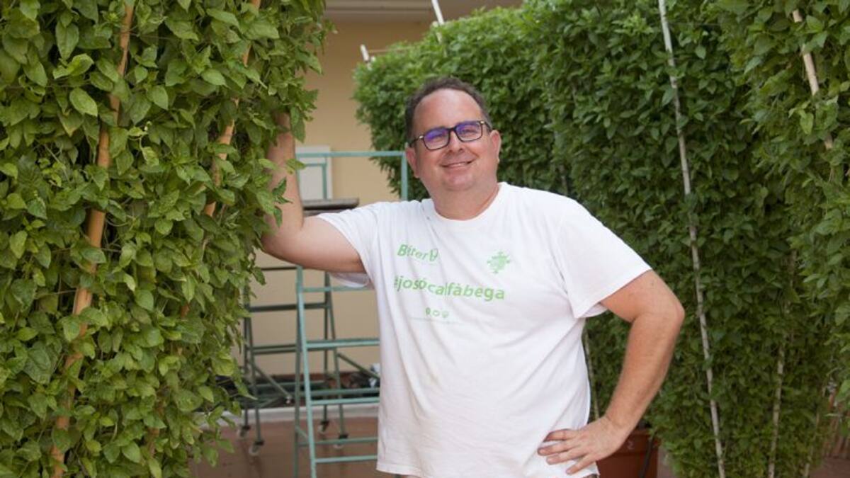 Alfàbegues de Bétera (14/08/2018)