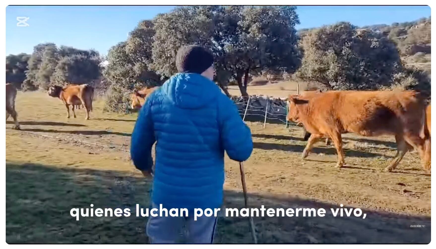 ‘El reto de quedarse’, de Sara Lassalle