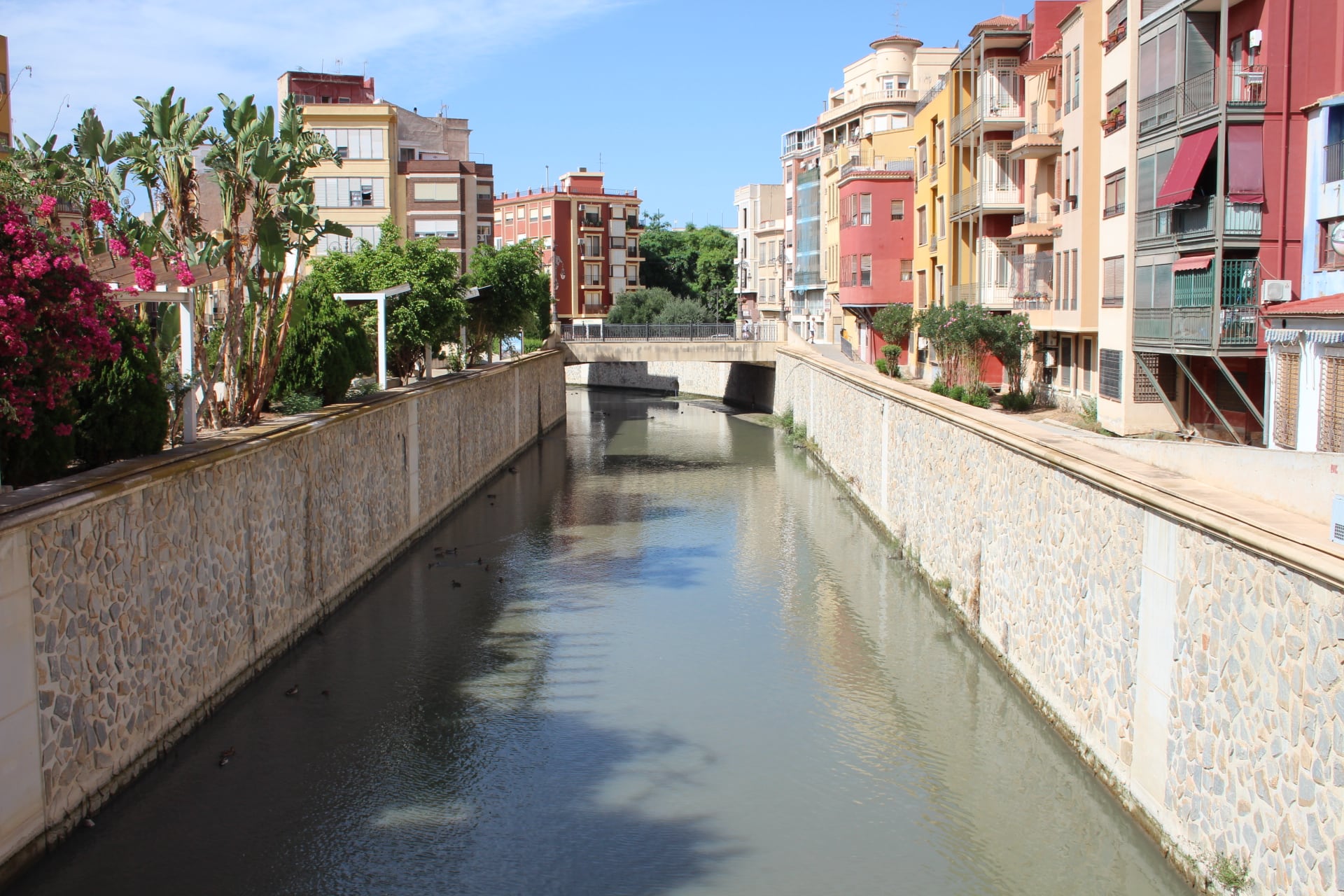 El rio Segura atravesando la localidad de Orihuela