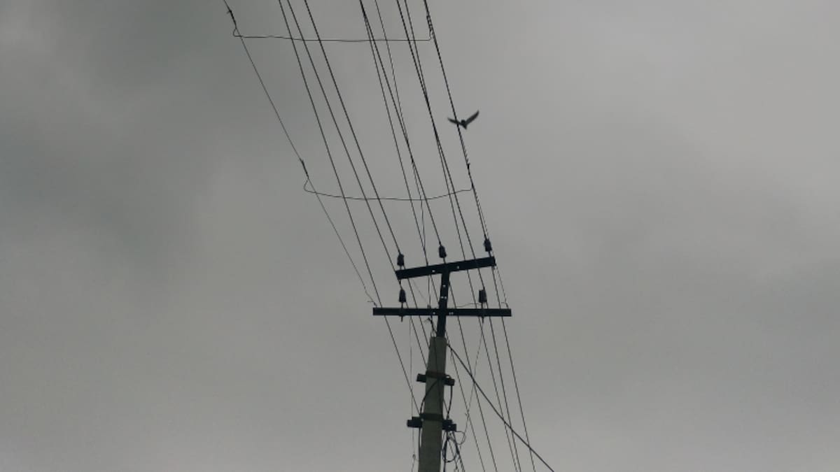 Alcover denuncia els reiterats talls elèctrics i exigeix solucions immediates a E-Distribución