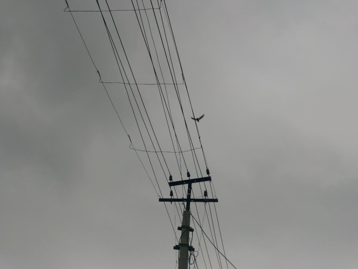 Alcover denuncia els reiterats talls elèctrics i exigeix solucions immediates a E-Distribución