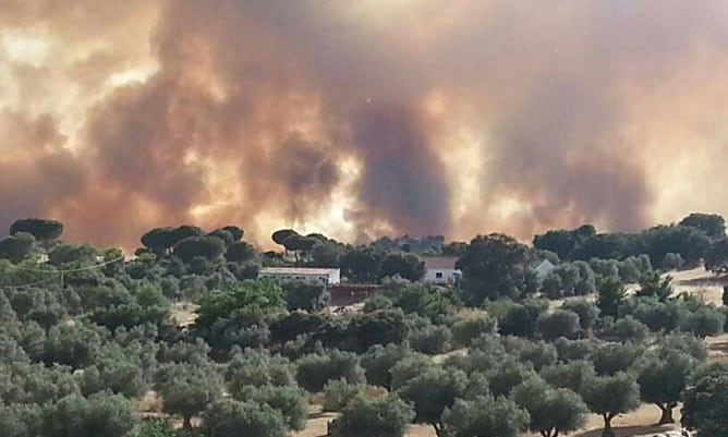 Incendio forestal en la sierra oeste de Madrid