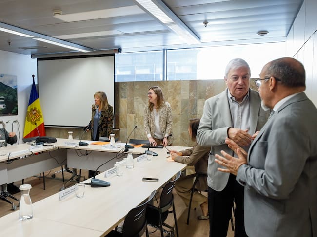 Reunió extraordiària del CES d'aquest mes d'abril