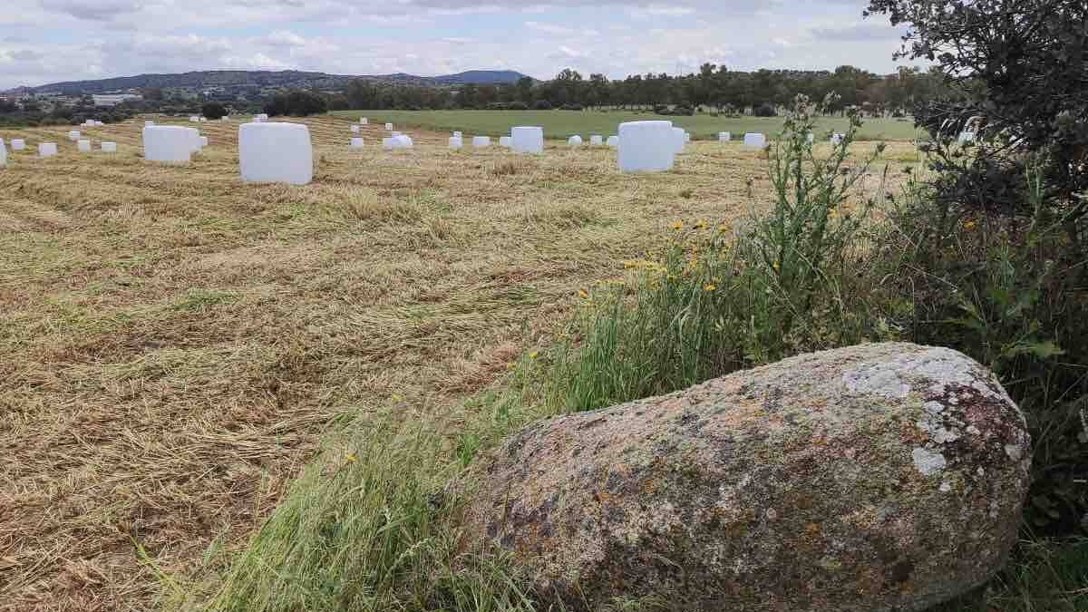 Preocupación en Gamonal por el derribo de un menhir de 5.000 años de antigüedad