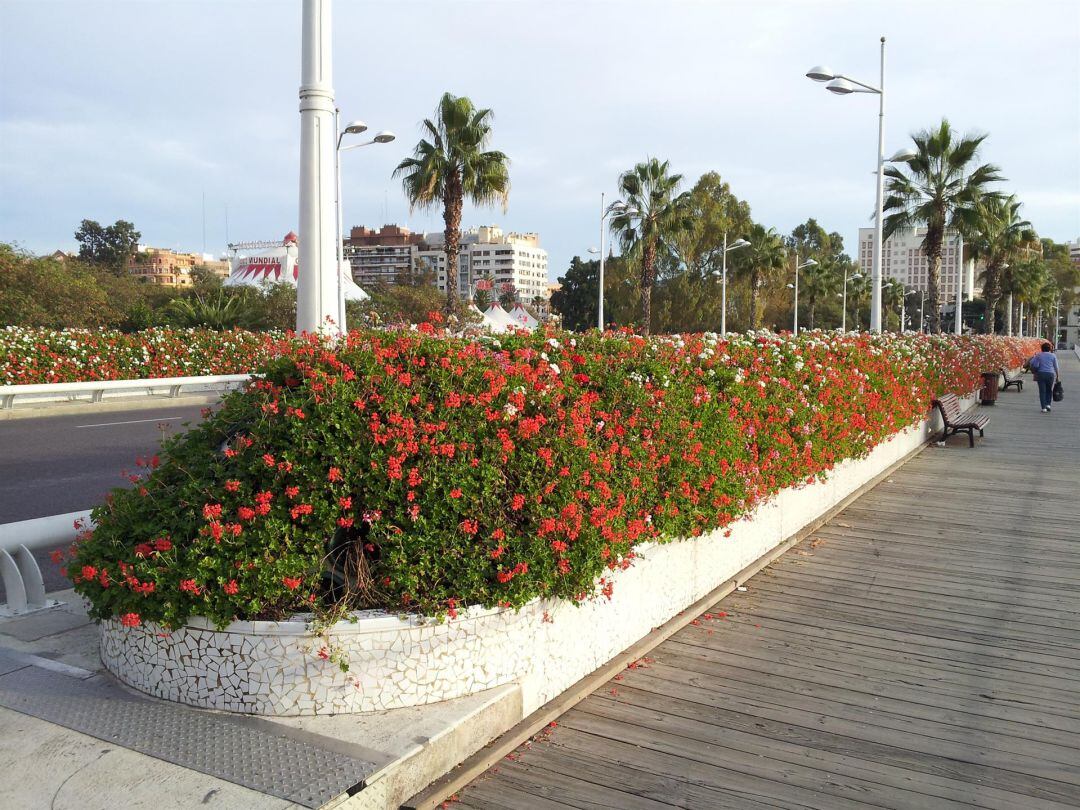 Puente de las Flores en València