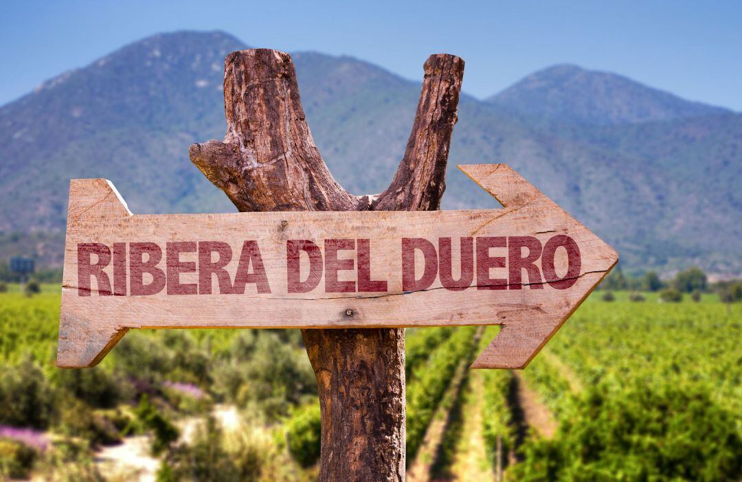 La Ribera del Duero sigue en expansión