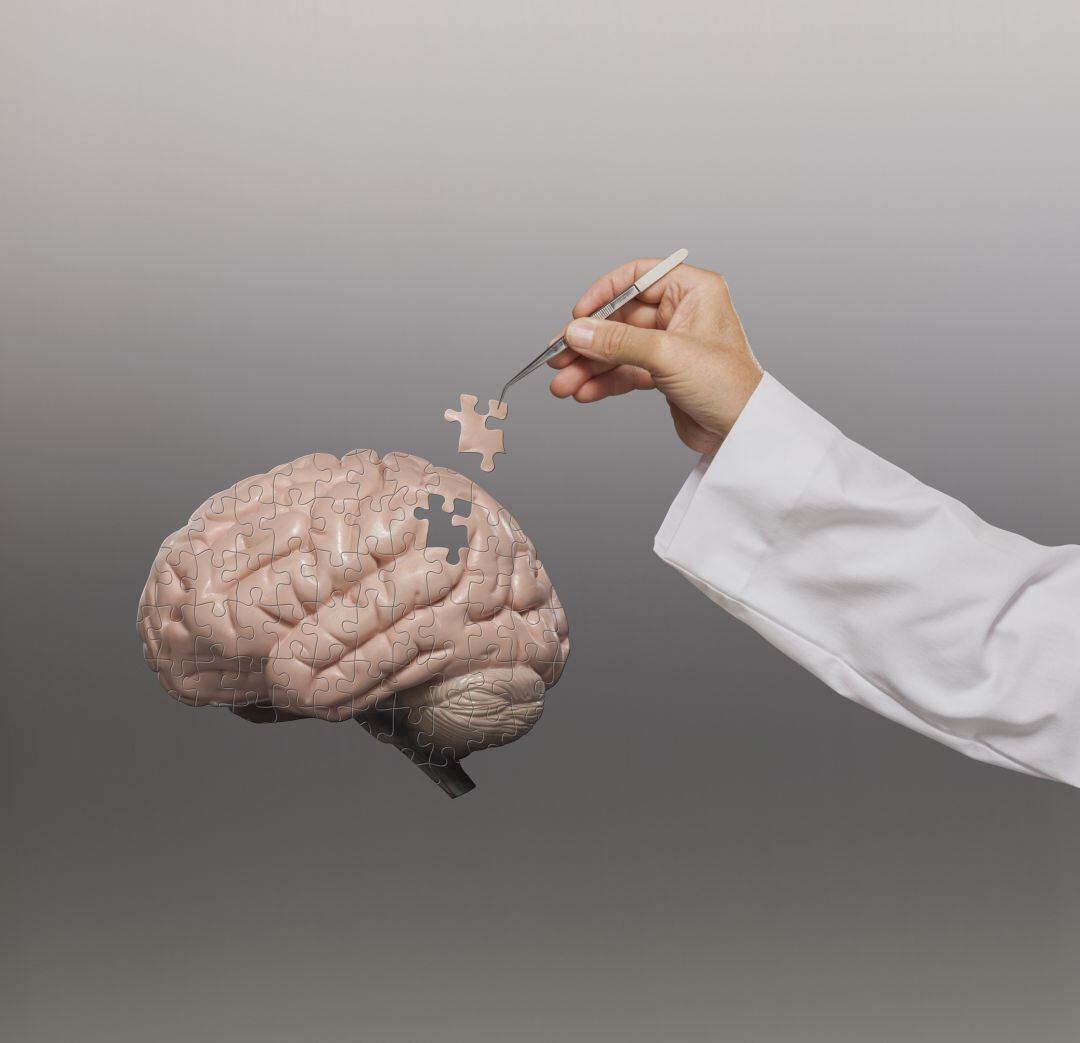 48 cerebros y 313 donantes para investigar enfermedades