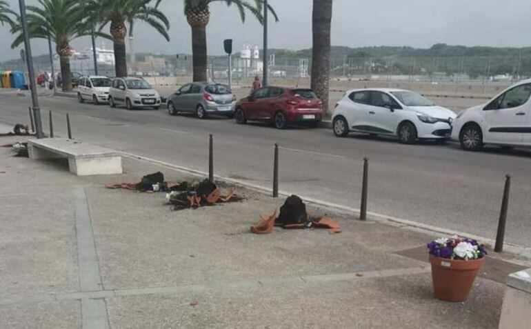 Unos gamberros destrozaron tiestos, plantas e incluso un árbol en el Parc Rochina.