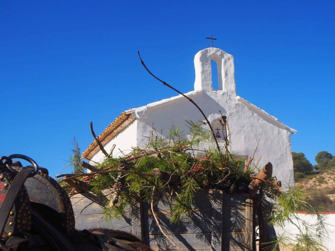 Recogida de leña en Las Cañadas