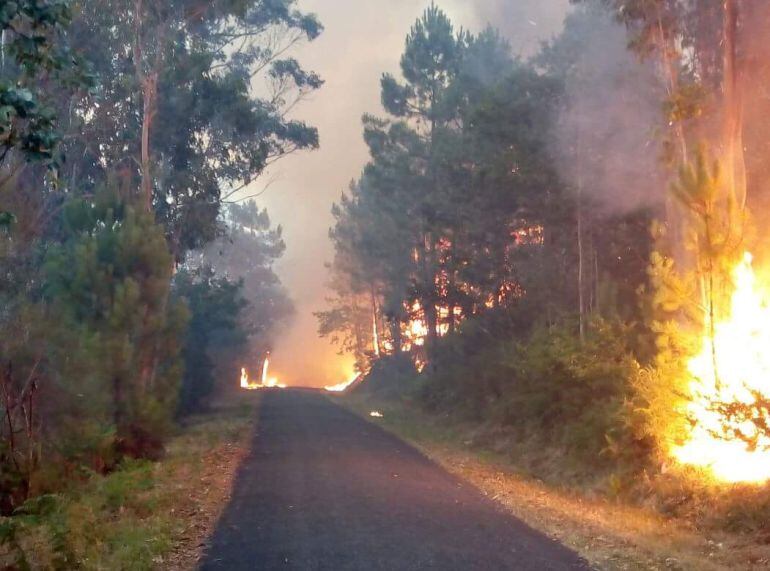 Las llamas avanzaron muy rápido tras declararse el fuego