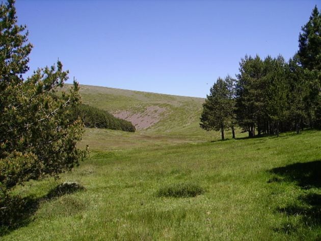 Pastos de Añón