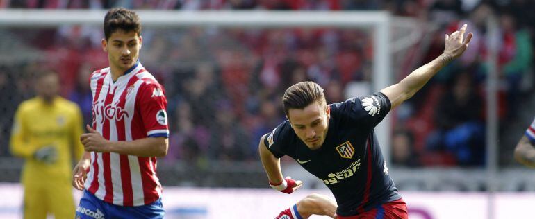 El centrocampista del Sporting Sergio Álvarez  y el centrocampista del Atlético de Madrid Saúl Ñíguez durante el partido de la trigésima jornada de Liga que disputan en el estadio del Molinón, en Gijón. 