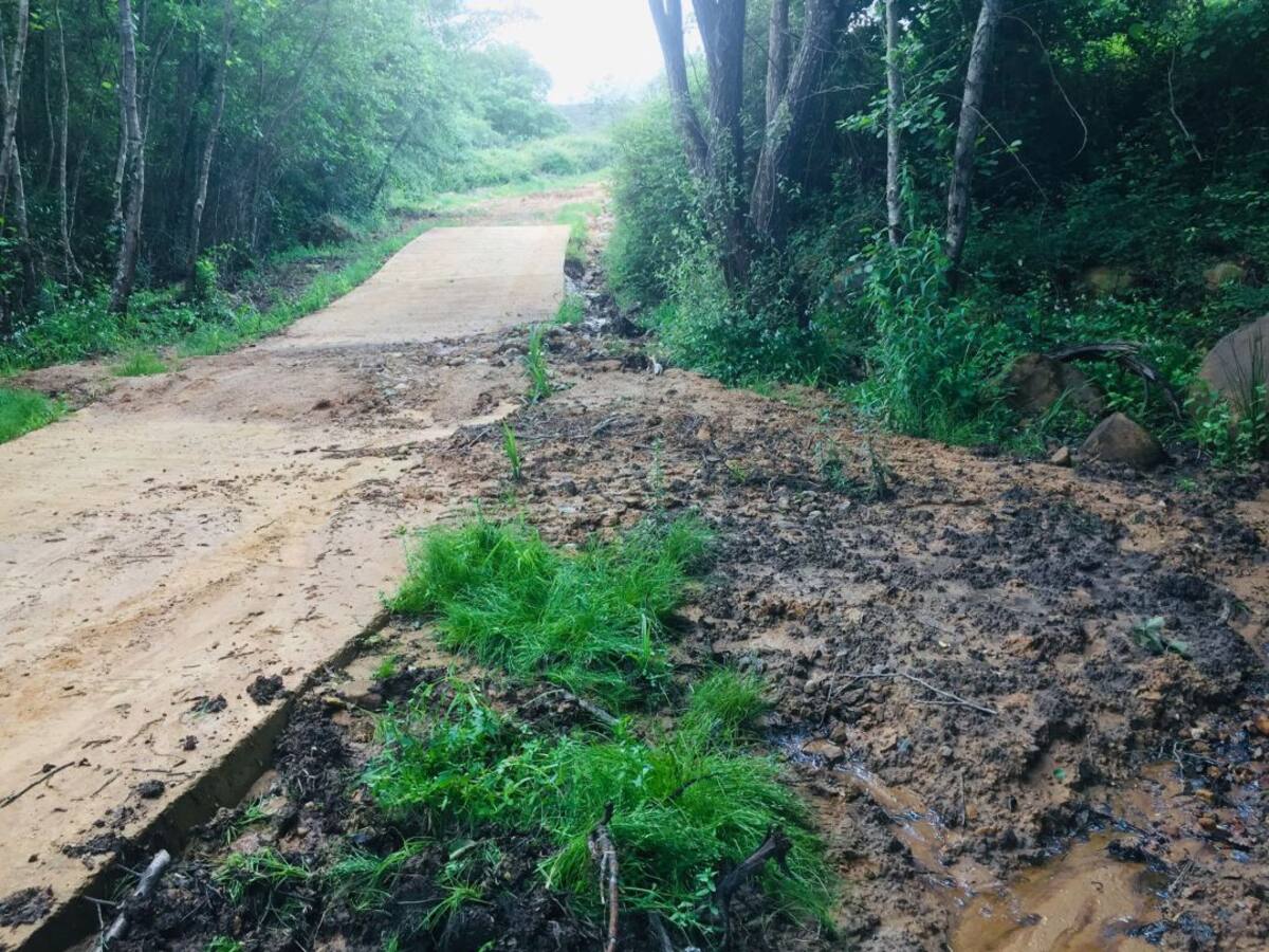 Agaden denuncia que las obras en el Corredor Dos Bahías están destrozando Los Alcornocales