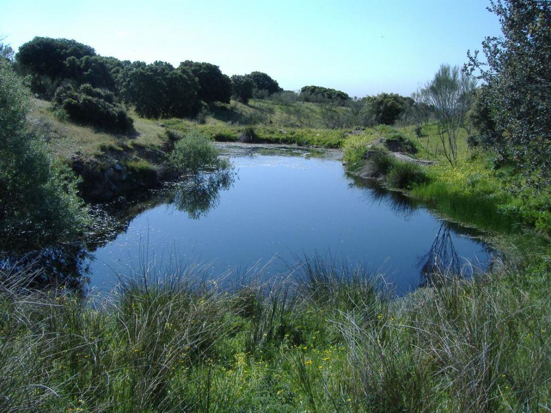 Entorno del Parque Regional del Río Guadarrama