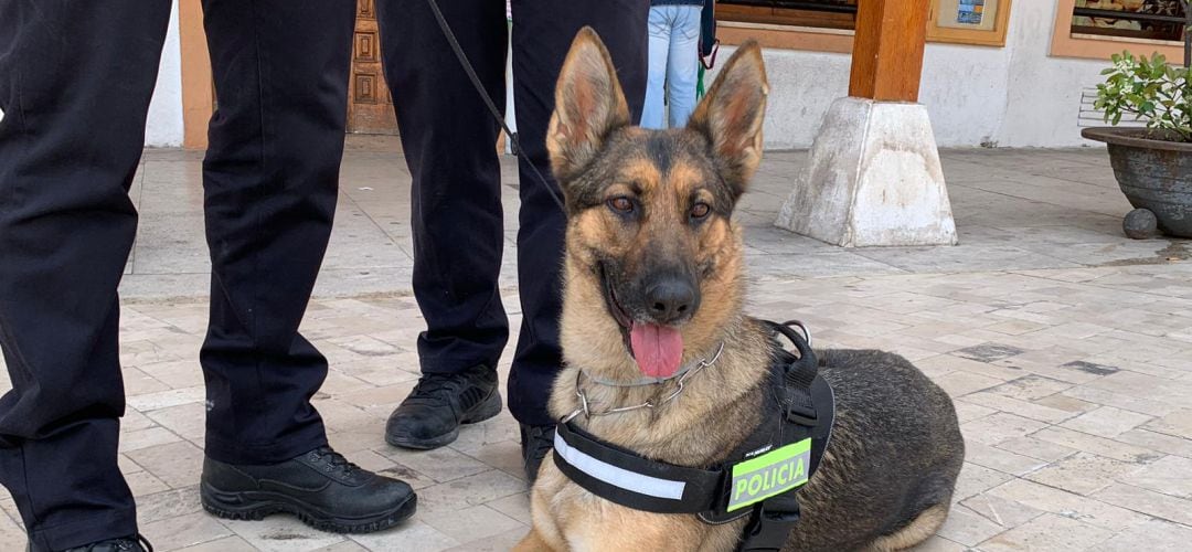 Fnena es la nueva policía local de Ciempozuelos y la primera en ocupar la unidad canina