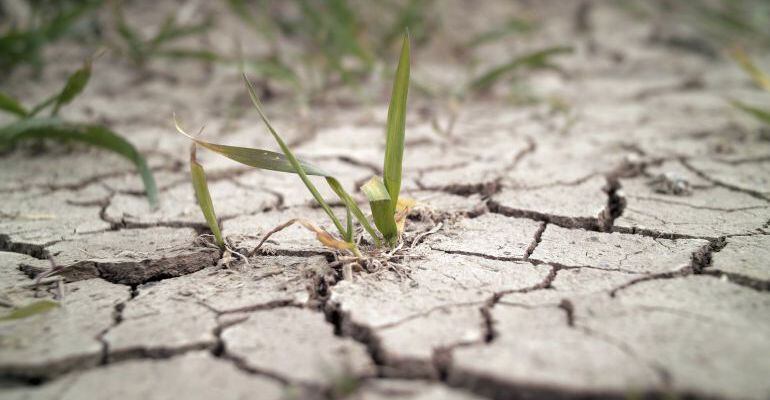 Las lluvias han mejorado &quot;un poco&quot; los embalses &quot;pero la situación sigue siendo de emergencia&quot; por la sequía