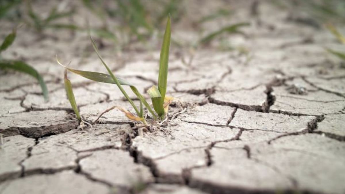 Las lluvias recargan ligeramente los embalses, pero "la situación sigue siendo alarmante"