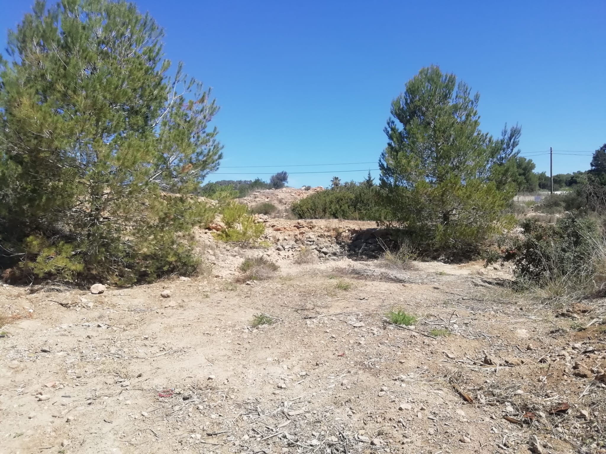 Así ha quedado el vertedero ilegal de Cala Tarida tras la limpieza (Foto: Ayuntamiento de Sant Josep)