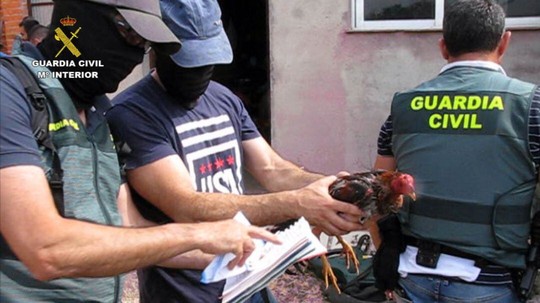 Agentes de la Guardia Civil durante el suceso registrado en Tordesillas