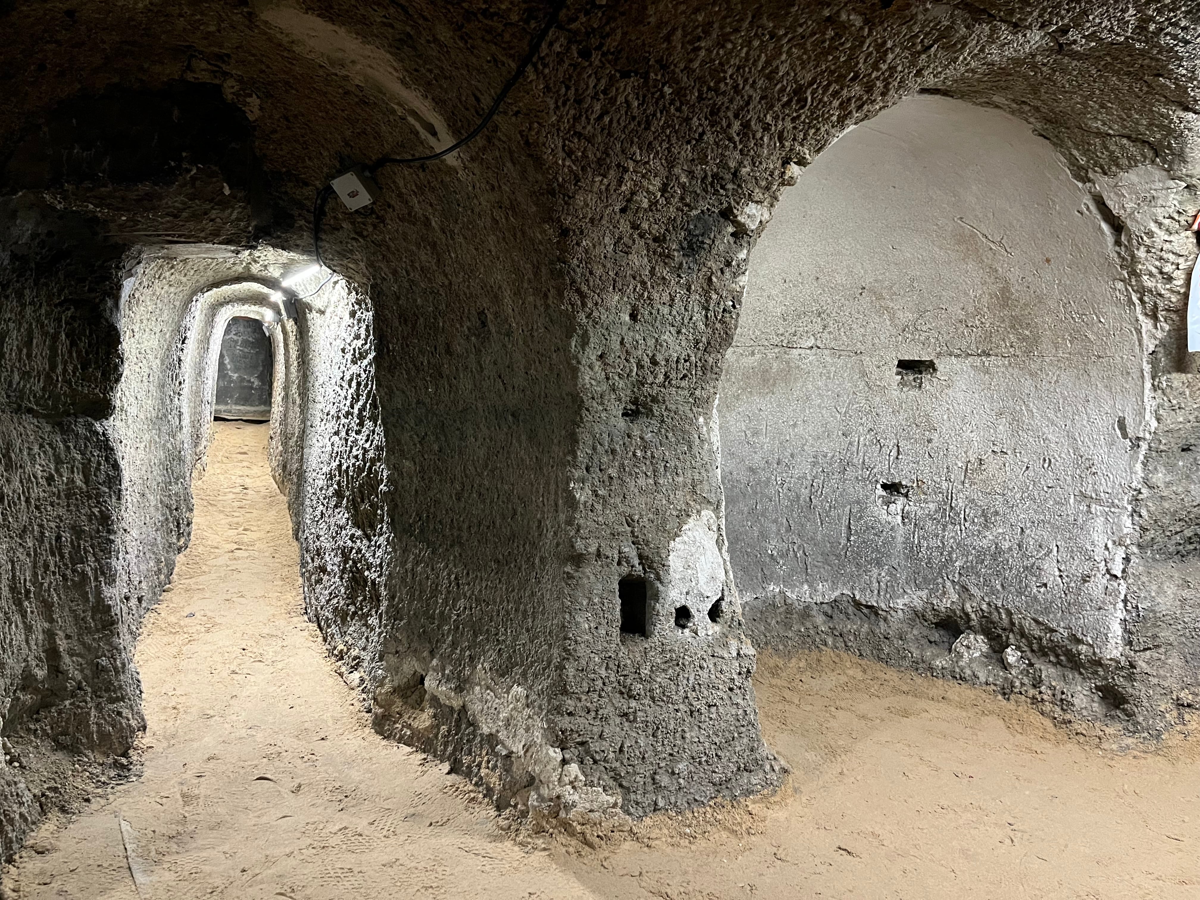 El Ayuntamiento ha habilitado varias bodegas públicas para su visita