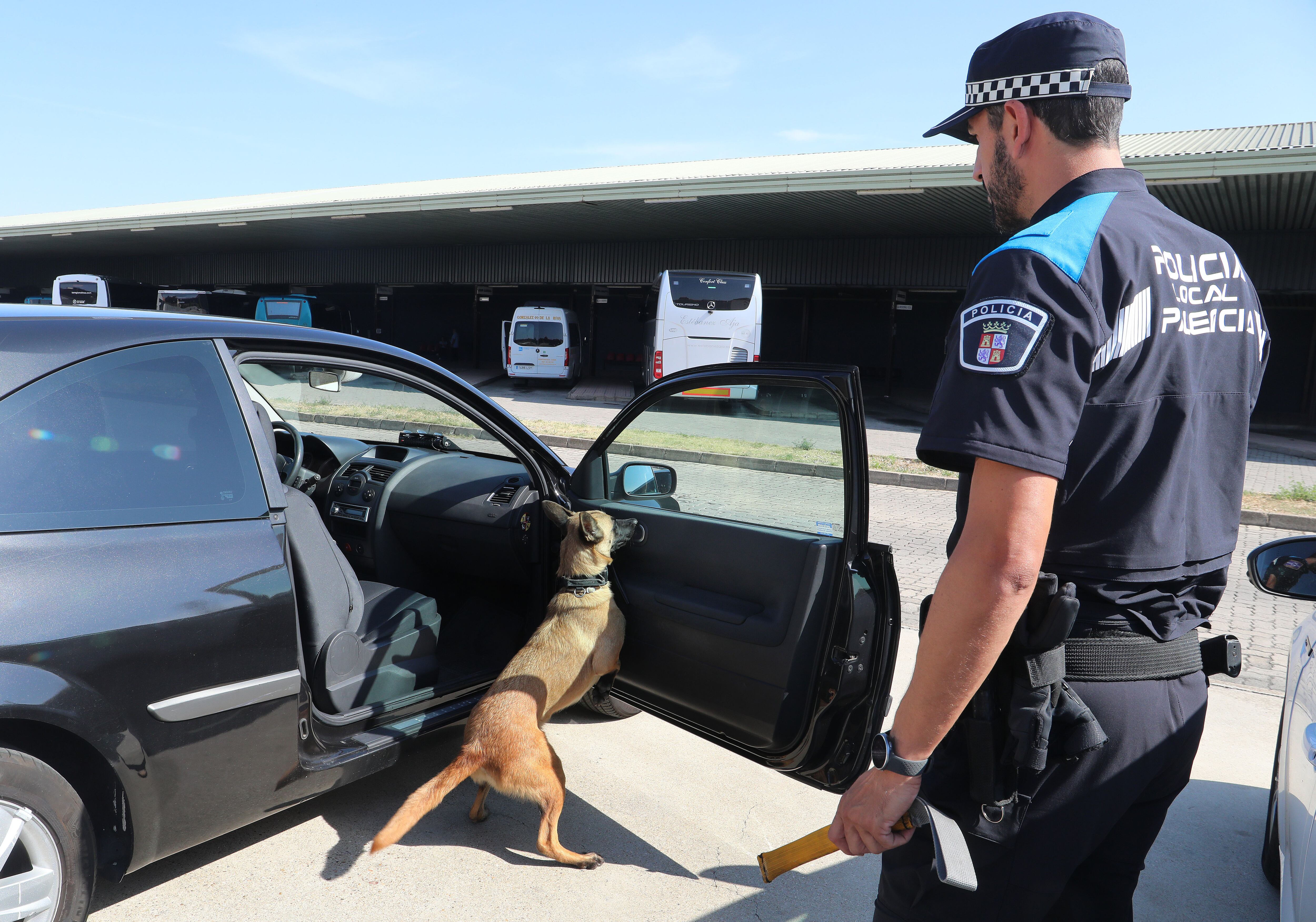 Unidad canina de la policía local de Palencia