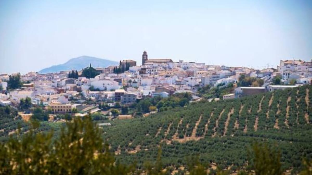La Guardia Civil detiene a una persona por hurto de joyas y estafa en la localidad de Arjona