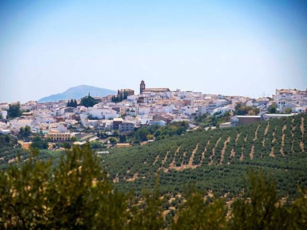 La Guardia Civil detiene a una persona por hurto de joyas y estafa en la localidad de Arjona