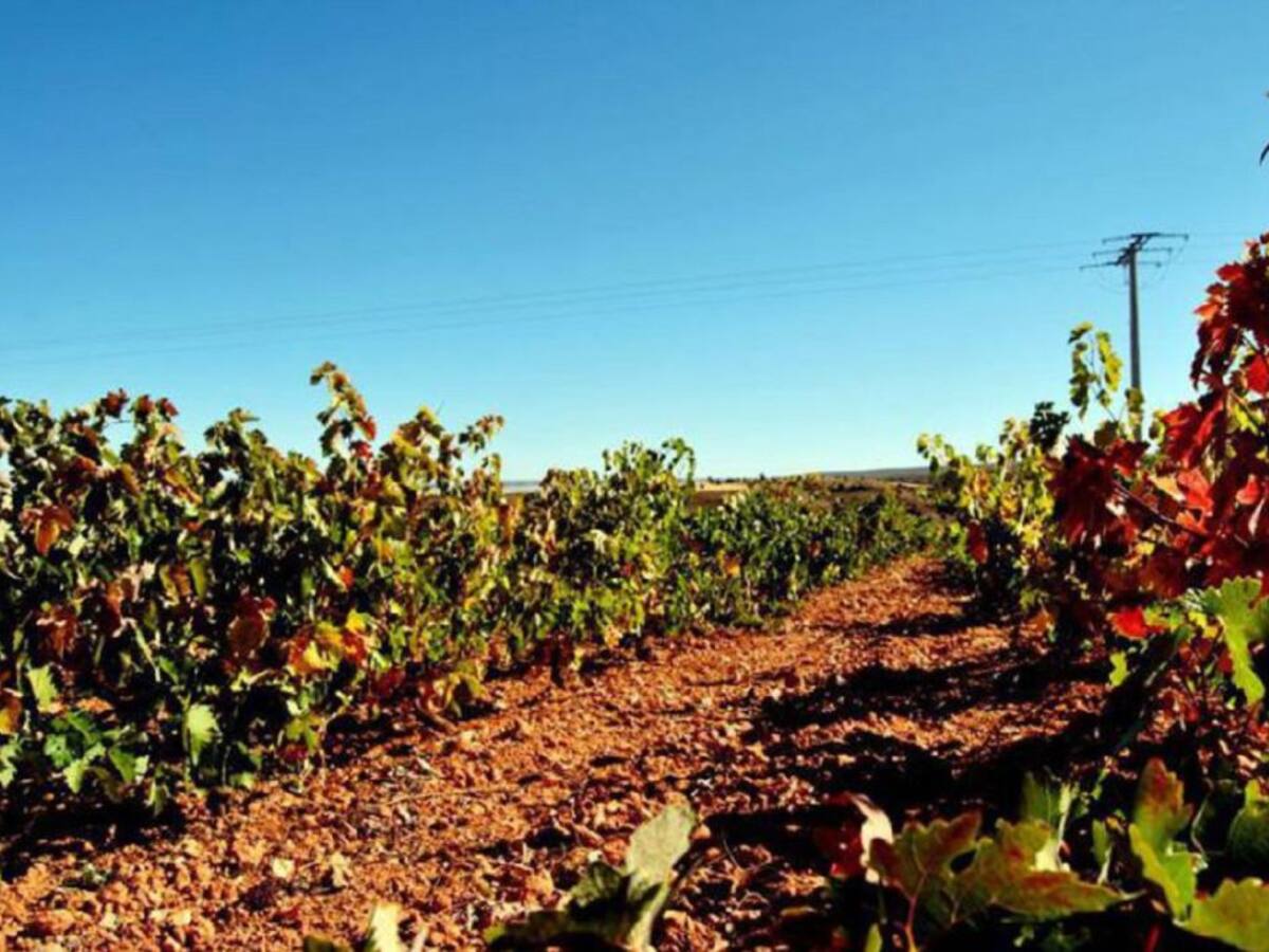 La situación del campo en enero