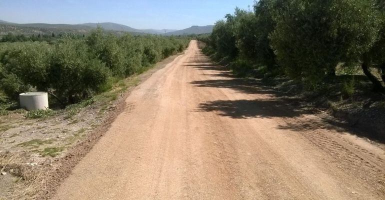 Camino rural en el término municipal de Villacarrillo.