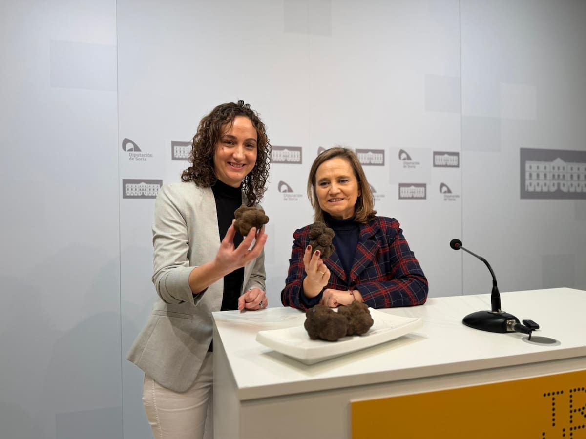 La Feria de la Trufa Negra de Soria en Abejar llega a su vigésimo tercera edición