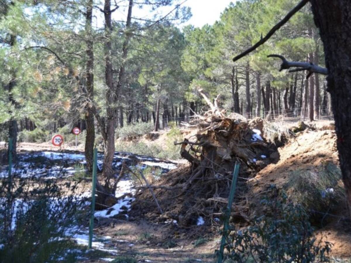 Upyd acusa al Ayuntamiento de Las Navas de hacer las obras del carril bici sin permiso