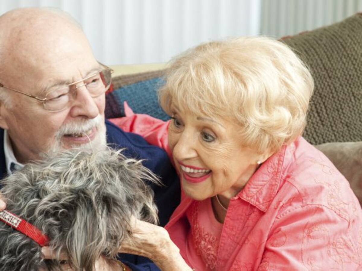 Los abuelos se van de casa