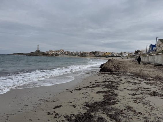 La Asociación PROCABO exige al Ayuntamiento de Cartagena que deje de limpiar las playas con maquinaria pesada
