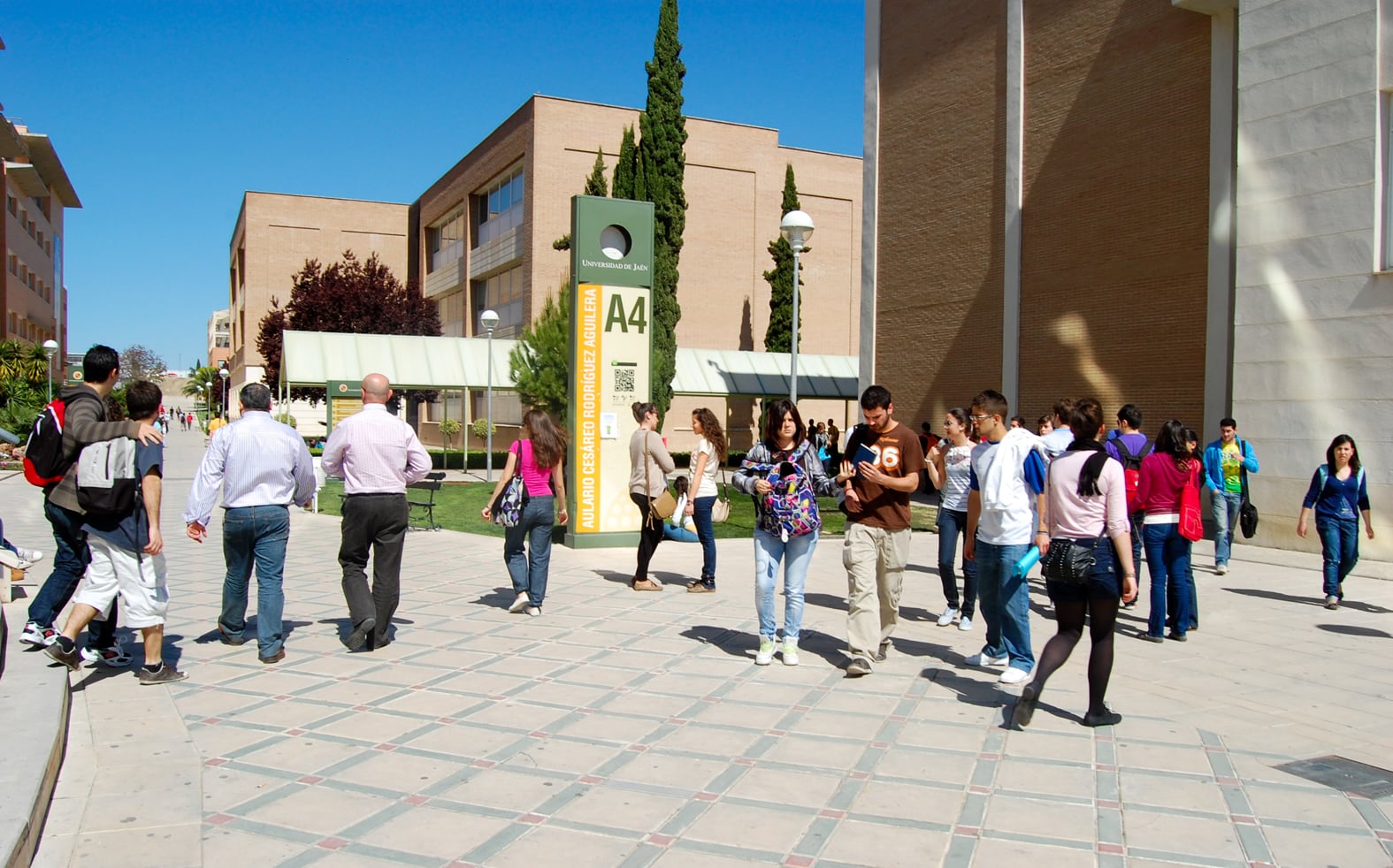 Universitarios en el Campus de Las Lagunillas de Jaén