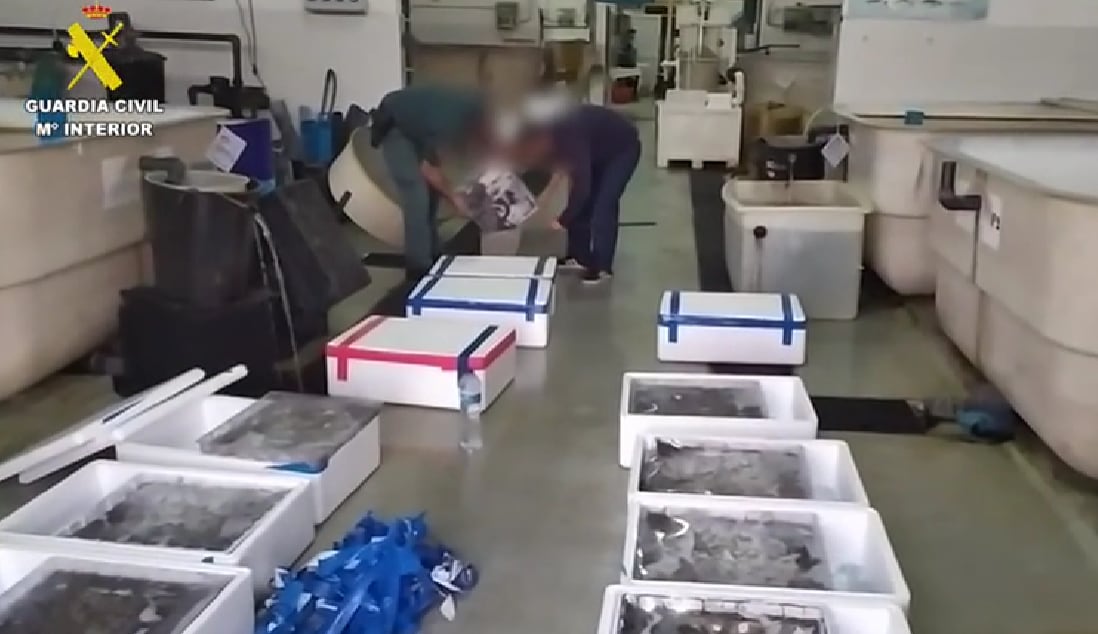 Un momento del operativo