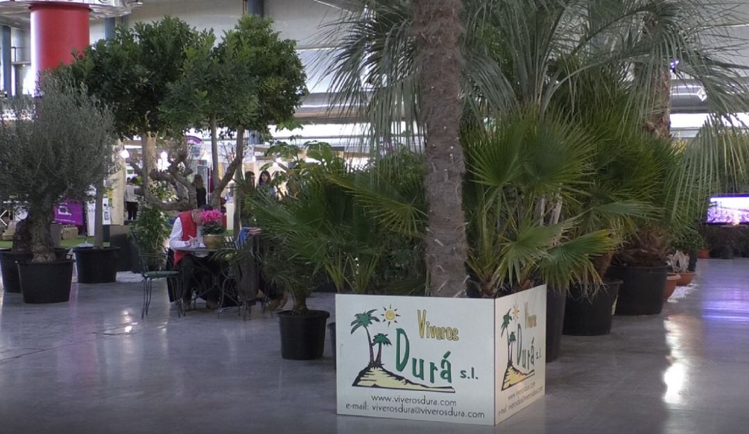 Inauguración de Viveralia, el salón profesional de la planta ornamental en IFA