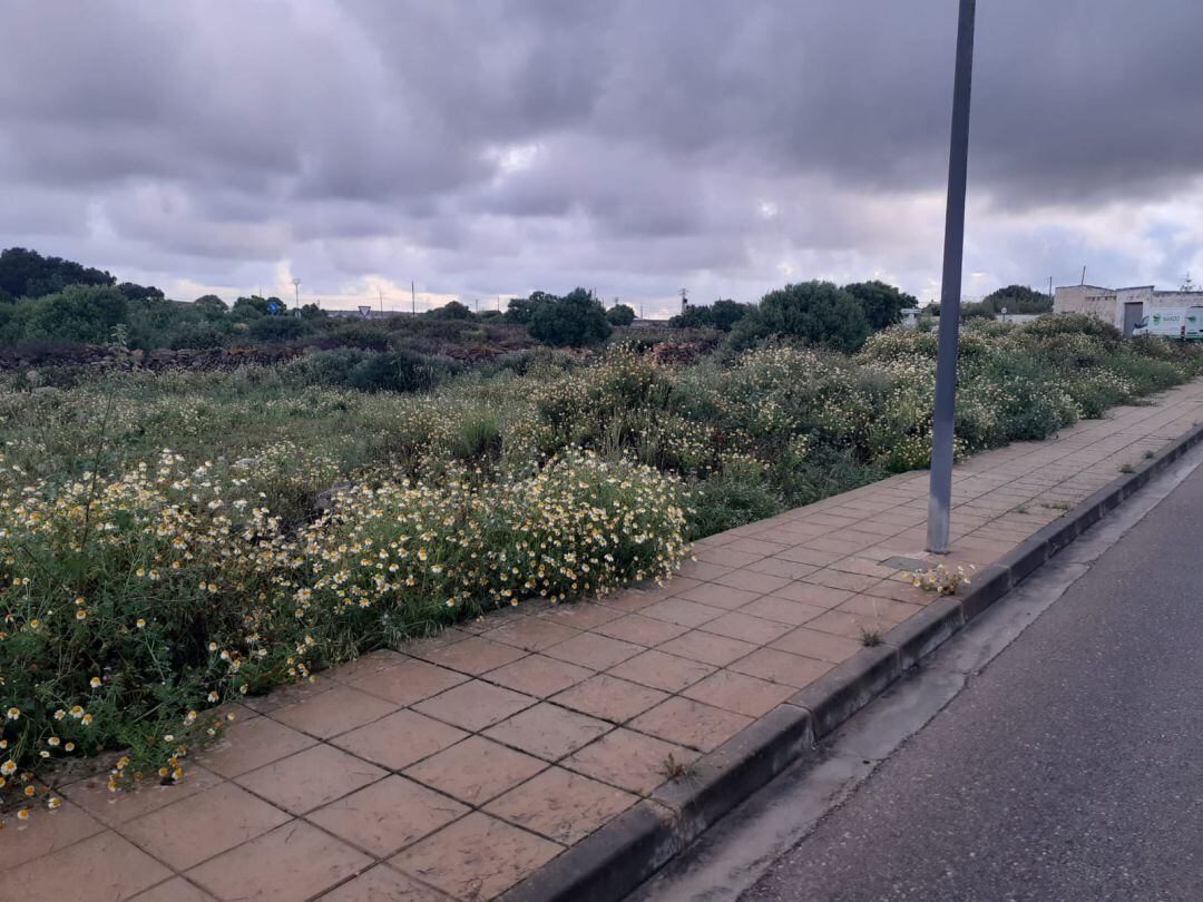 Aquí es construiran els nous jutjats de Ciutadella.