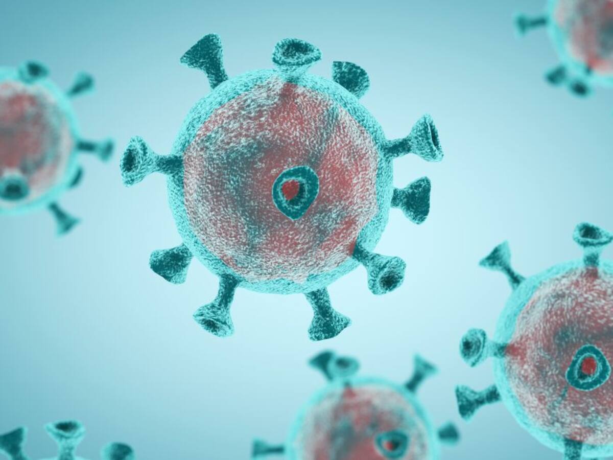 Coronavirus en Castilla y León: última hora de los afectados