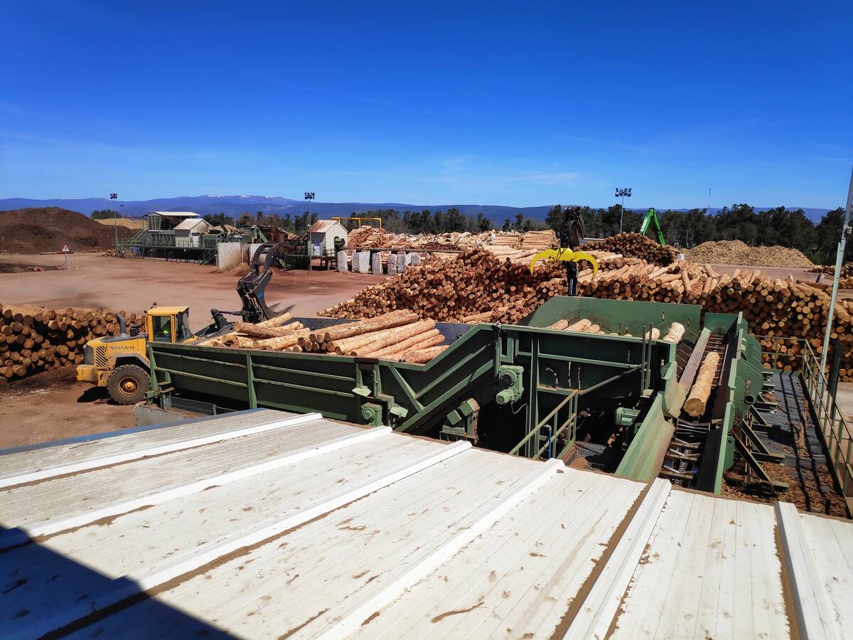 El Comité exige más información sobre el futuro de Tableros Losán