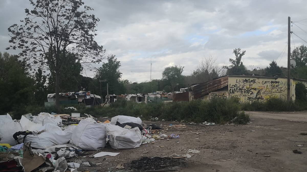 Raúl Navarrete, Ecologistas en Acción