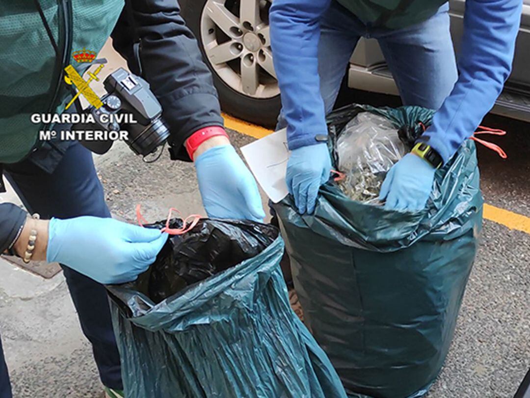  Bolsas de basura cargadas de marihuana