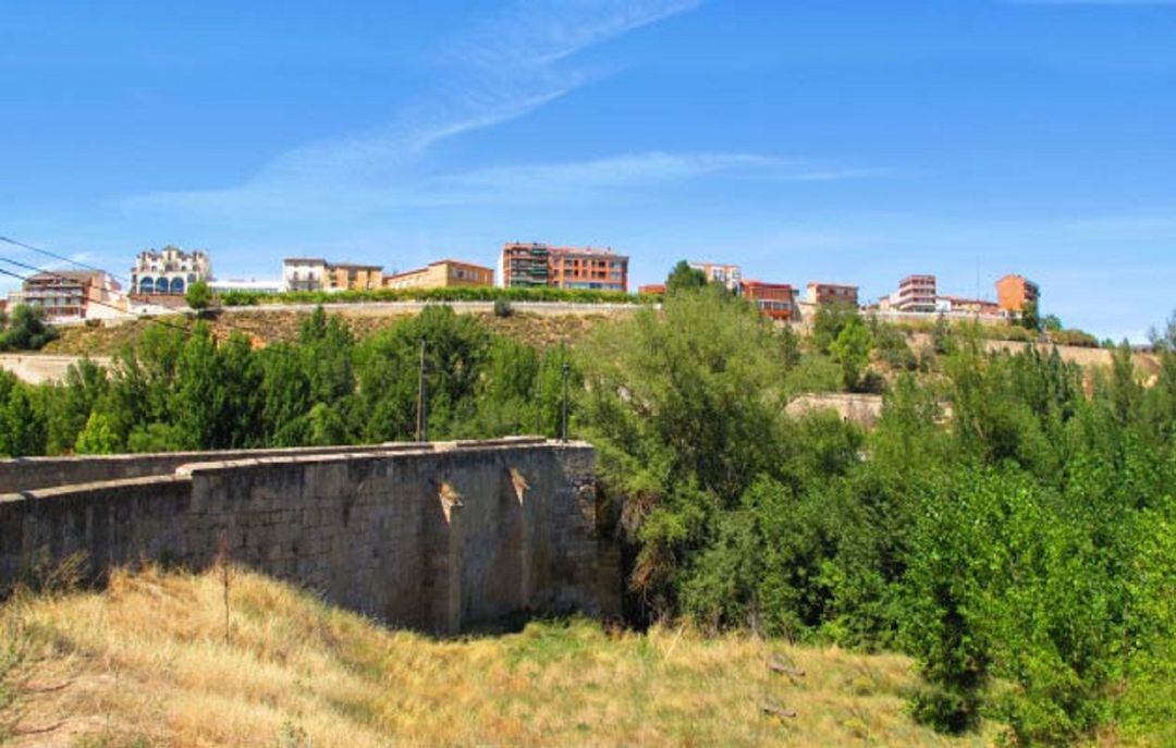 Vista del Paseo del Espolón desde el otro lado del río Duero a su paso por la villa raudense.