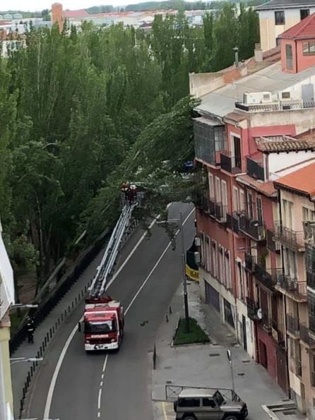Los bomberos han comenzado su intervención retirando el ramaje que había quedado sobre los balcones del edificio