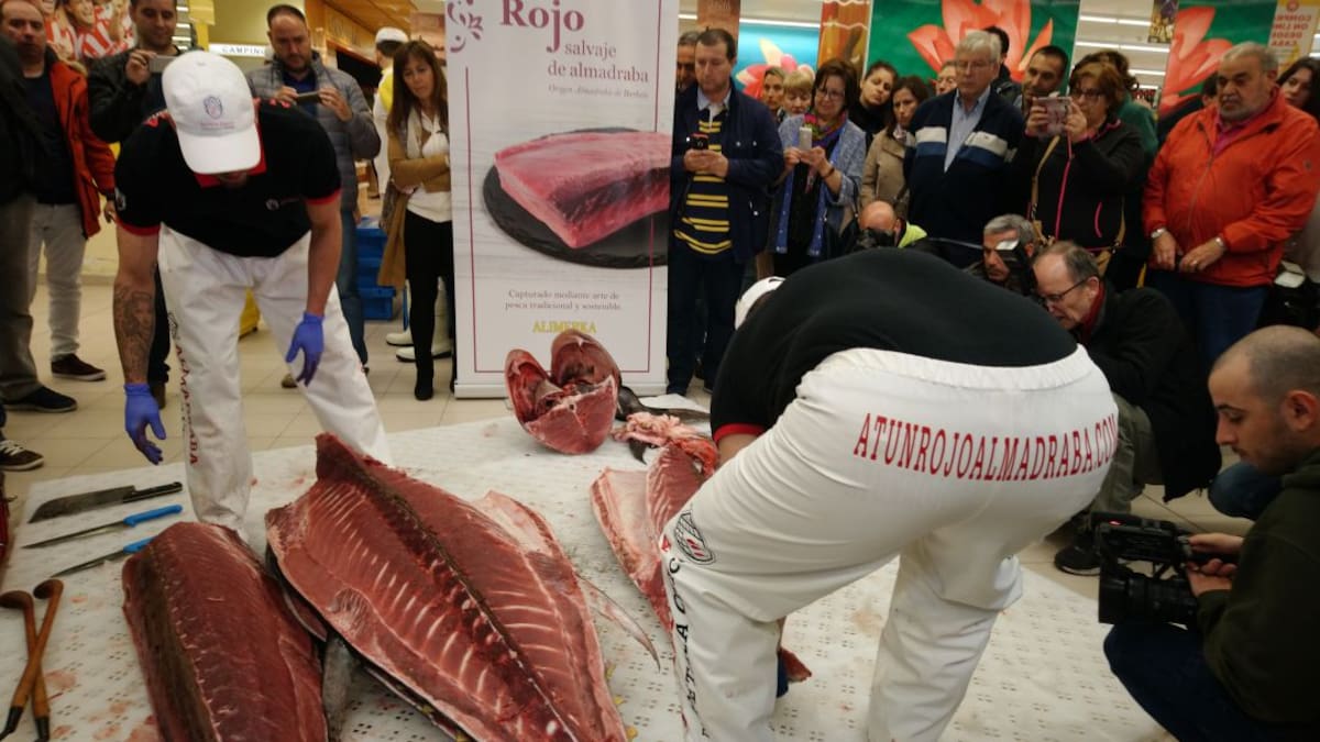 Arranca la campaña del atún rojo de almadraba