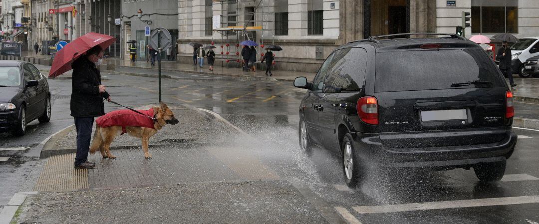 Una persona espera para cruzar con su perro en un paso de cebra de A Coruña, Galicia (España), a 20 de enero de 2021