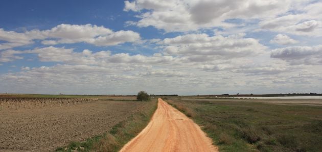 El paisaje manchego domina este espacio natural.